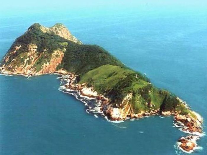Hòn đảo Iiha da Queimada Grande rộng khoảng 45 ha, từng mang tên “đảo cháy” do bị ngư dân đốt rừng và đuổi động vật hoang dã vào trong rừng sâu. Nó có tên gọi quen thuộc là “đảo rắn” do có quá nhiều loài rắn độc trên đảo, điển hình là rắn hổ lục đầu vàng. 
