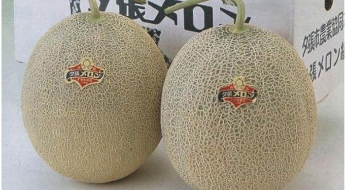  2. Dưa Yubari: 26.000 USD/2 quả Là "con lai" của hai giống dưa vàng, dưa Yubari có vỏ màu vàng cam và phần thịt mịn màng. Loại dưa này có vị ngọt lịm, hàm lượng dinh dưỡng cao và kích cỡ mỗi quả khá lớn. Dưa Yubari thường được bán theo hộp hai quả. Loại dưa này từng được bán đấu giá và đạt mức 26.000 USD/hai quả. 