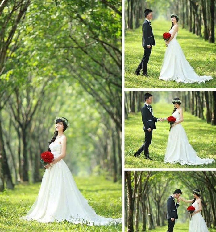 Những bức ảnh cưới ngoại cảnh lãng mạn như bao đôi uyên ương khác. 