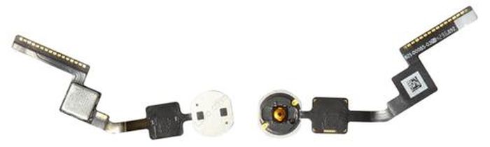 Cụm nút Home trên iPhone 6 5.5 inch.