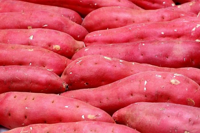  Khoai lang. Ăn khoai lang ở mức độ vừa phải (100g/ngày) rất có lợi cho hệ tiêu hóa vì thành phần vitamin C và các acid amin giúp kích thích nhu động ruột, làm quá trình tiêu hóa thức ăn trở nên dễ dàng hơn. Nhưng chị em sau sinh cũng cần lưu ý; ăn quá nhiều khoai lang cũng có thể gây thừa cân béo phì hoặc đầy bụng khó tiêu do thừa đường.