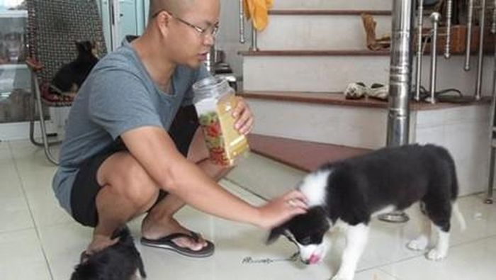 Anh Dũng và chú chó chăn cừu. 