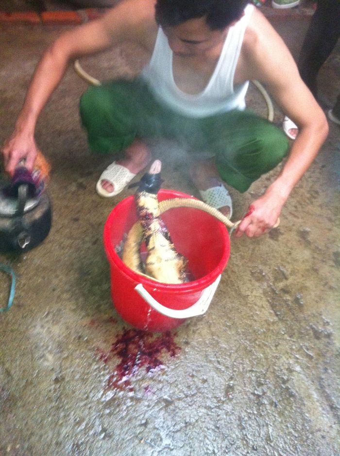  Anh Hùng, chủ quán nhậu côn trùng