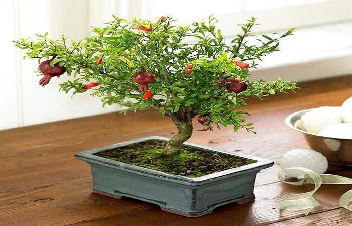 Sống 'xanh': Hóa chất có ở mọi nơi. trong không khí bạn thở, mỹ phẩm làm đẹp, sản phẩm vệ sinh nhà cửa. Hãy cắt giảm những hóa chất độc hại bằng cách chuyển qua những sản phẩm tự nhiên, không độc hại.