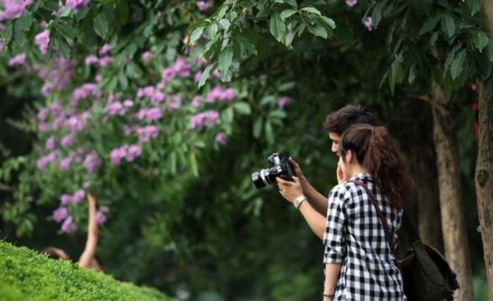 Nhiều bạn trẻ không bỏ lỡ cơ hội, tìm đến dãy bằng lăng trên phố Kim Mã ghi lại những khoảnh khắc đẹp cùng loài hoa mỗi năm chỉ nở một lần