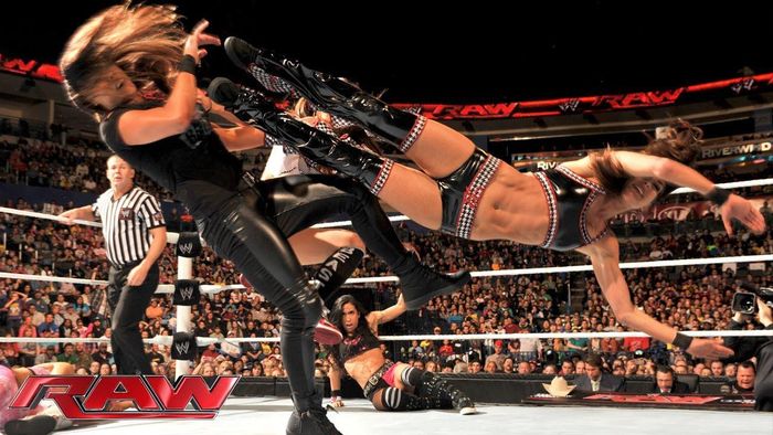 Brie Bella hiện là một trong những Divas - Nữ đô vật hàng đầu của WWE và cũng là một ngôi sao truyền hình thực tế, thường xuyên xuất hiện trên Total Divas WWE.