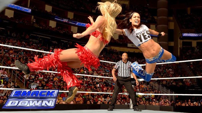 Brie Bella năm nay 32 tuổi, cô đã kết hôn với Daniel Bryan, cũng là một ngôi sang WWE hàng đầu. Brie và chồng của cô đôi khi cũng giáp mặt nhau trên sàn đấu nhưng hầu hết chỉ là ở những màn đối thoại, phụ truyện, không phải những màn giao đấu.