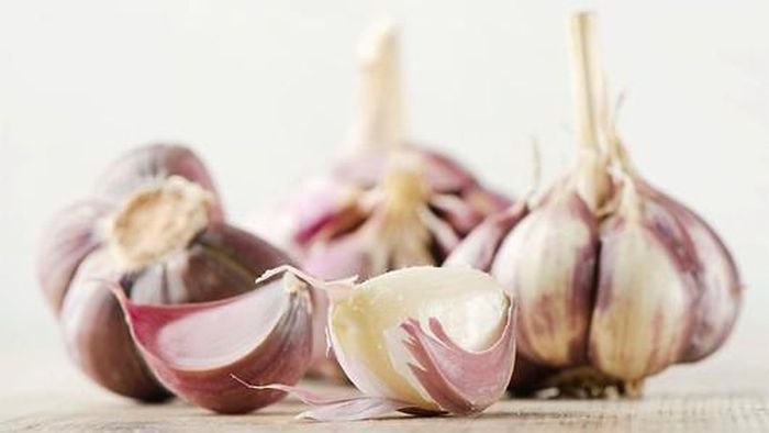 Nhiều người khi đi đám ma thường bỏ vài nhánh tỏi vào trong túi. Quan điểm dân gian giải thích là "ma" thường rất kị với mùi tỏi. Nhưng dưới góc nhìn của các nhà khoa học thì tỏi có tính sát trùng, bảo vệ cơ thể.