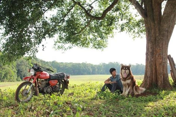 Bên cạnh đó, điểm thú vị làm tăng nét lạ của bộ phim đó là những con thú cưng. Chú ngựa trắng làm cho Mộc Lâm giống như hoàng tử trên thảo nguyên xanh, hay chú chó Poki khôn ngoan, đáng yêu khiến khán giả mê từ cái nhìn đầu tiên.