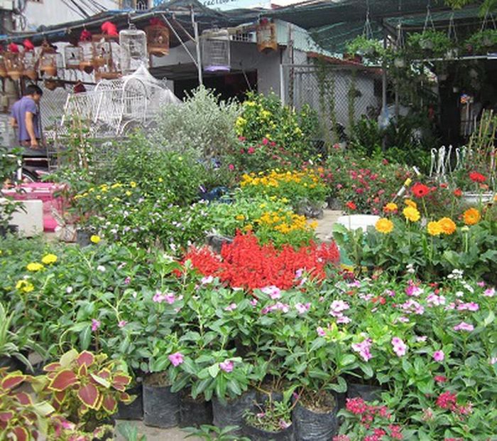  Một góc chợ Hàng
