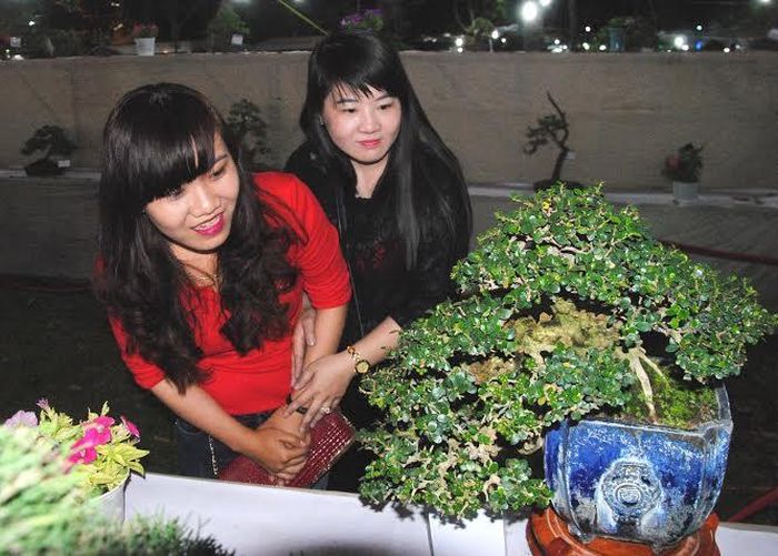 Khách tham quan thưởng lãm các tác phẩm đạt giải tại Hội thi và trưng bày giới thiệu sản phẩm sinh vật cảnh ĐBSCL mừng xuân Bính Thân 2016