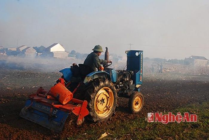 Do rét hại kéo dài nên cây mạ yếu chưa kịp hồi sinh đa số các xã đã chỉ đạo người dân trồng màu trước để tranh chấp thời vụ. Trong ảnh, nông dân Thanh Chương tranh thủ làm đất trồng màu.
