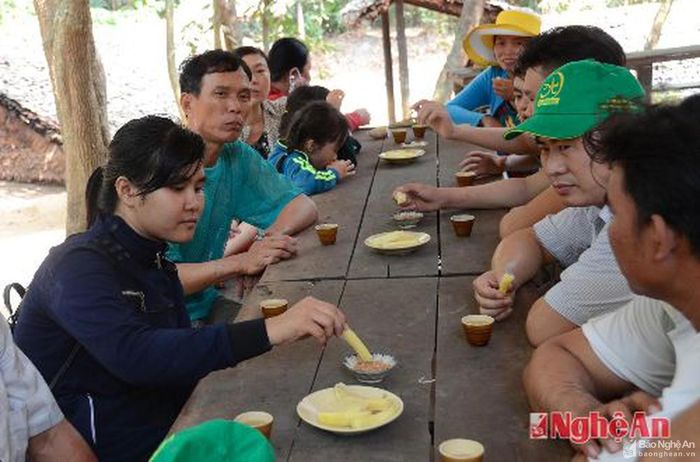 Thưởng thức khoai mì (sắn) - lương thực của người dân Củ Chi trong kháng chiến nay trở thành đặc sản hấp dẫn.