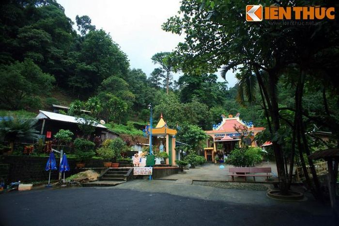 Không lâu sau đó có một đoàn xe du lịch lên Đà Lạt chạy tới khúc cua này cũng bị lật xe và lao xuống vực. Trong đoàn có bốn người sống sót gồm một chàng thanh niên và ba cô gái. Dù rất yếu sau vụ tai nạn nhưng cả bốn người đều cố động viên lẫn nhau để cùng leo lên tới mặt đường.