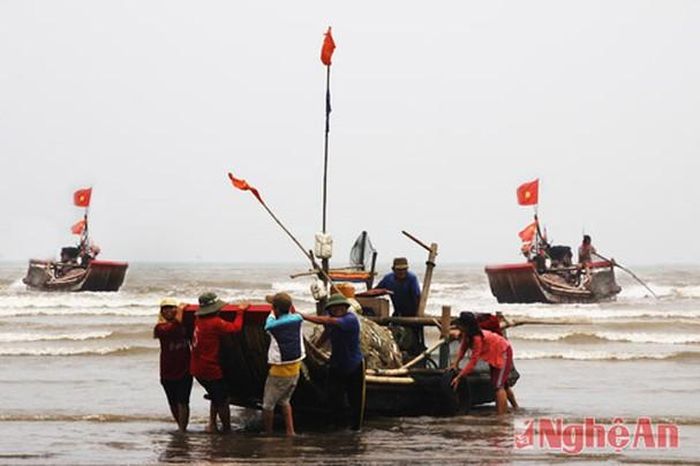 Những chiếc thuyền nặng "lộc biển" cưỡi sóng trở về. Mỗi thuyền 1 người điều khiển kiêm đánh bắt. Xuất phát lúc 1- 2h sáng, trở về lúc 9-10h trưa. Có thuyền 11-12h mới cập bờ với Sản lượng trung bình từ 300 – 1000kg/chuyến. Thi thoảng "trúng đậm" có thể thu hoạch 1.500kg/chuyến.