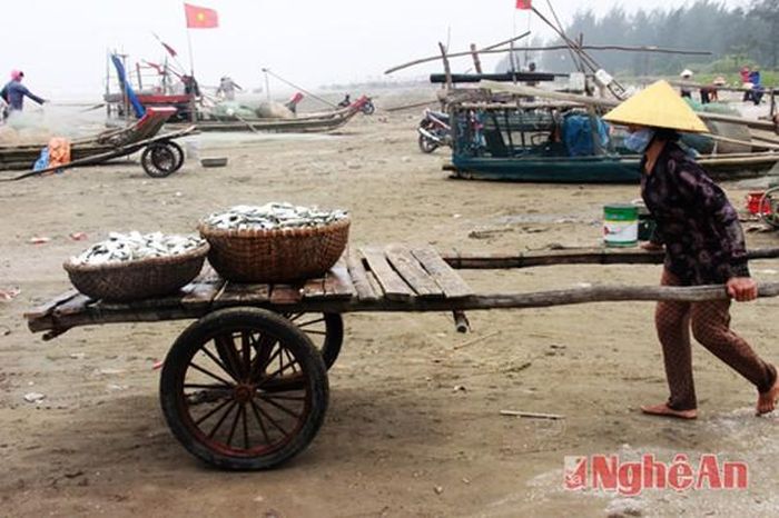 Xe kiến an tự chế là phương tiện quen thuộc của ngư dân Diễn Kim dùng vận chuyển cá trên bãi biển.