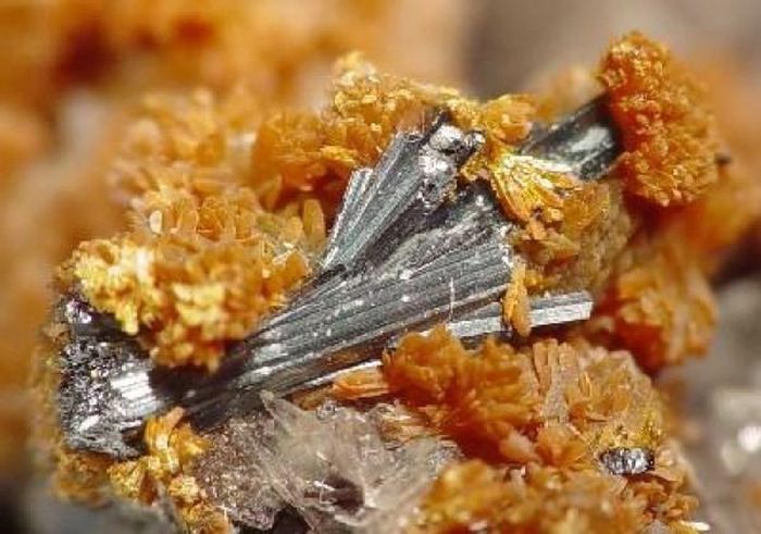 Hutchinsonite.Tali là phiên bản đồng đen. Là loại kim loại dày, trơn, tương đương với trọng lượng của nguyên tử tuy nhiên tali lại nguy hiểm hơn cả nguyên tử. Kim loại hiếm này là hợp chất của nhiều chất lạ. Ảnh hưởng do phơi nhiễm tali khá lạ trong đó có: rụng tóc, bệnh hiểm nghèo khi tiếp xúc qua da và trong nhiều trường hợp nó có thể gây chết người. Hutchinsonite là hợp chất được tạo thành từ: tali, đồng và thạch tín. 3 loại độc tố kết hợp vào tạo thành hutchinsonite, có khả năng gây chết người.