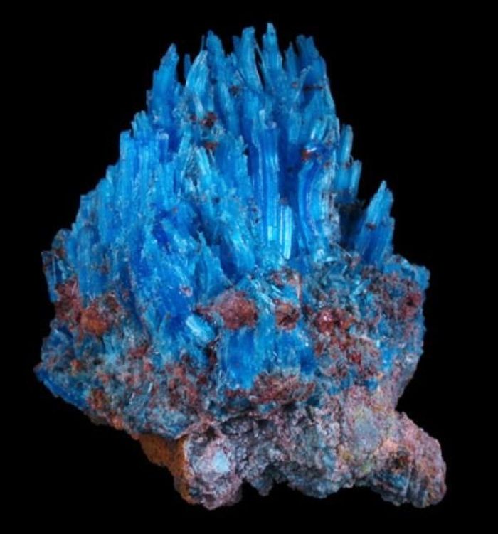 Chalcanthite là hợp chất của đồng, lưu huỳnh và nhiều chất khác cùng với nước. Chính vì sự kết hợp này khiến đồng - cần thiết cho cơ thể nhưng sẽ trở nên độc nếu như nó có số lượng lớn, thành một tinh thể sinh học, có nghĩa là đồng có thể bị hòa tan trong nước và có thể hòa tan với số lượng lớn vào cơ thể động vật hoặc thực vật. Hậu quả là động vật và thực vật trở nên yếu đi và sau đó giết chết chúng bằng cách gây trở ngại cho các quá trình trao đổi trong cơ thể.