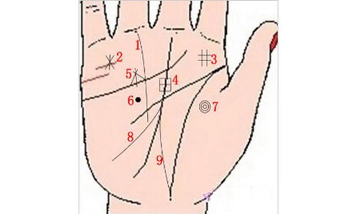 9 vân tay mang lại sự giàu có.