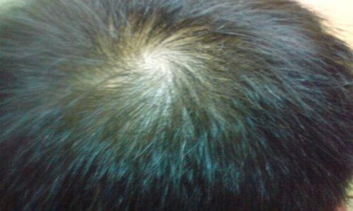 Cuộc sống tương đối bình lặng, ổn định, làm việc luôn có nguyên tắc không mấy khi mạo hiểm. Chính vì thế, họ thường trở thành những người lãnh đạo hoặc những người có quyền quyết sách trong tập thể.