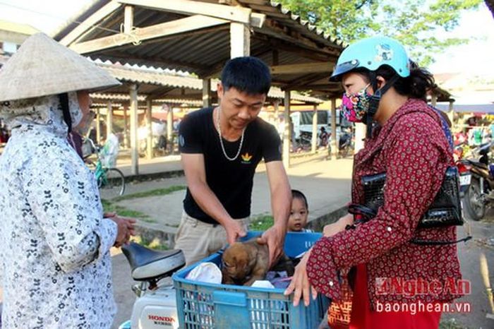 Tùy vào giống chó và cách chăm sóc của chủ nhà mà chó con sẽ đẹp, mập, gầy khác nhau. Khi đưa đến chợ, tùy vào đó mà giá chó con từ vài chục nghìn đồng đến vài trăm nghìn đồng.