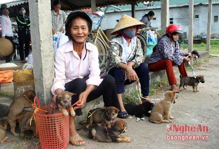 Hàng chó ở chợ Dùng, mỗi buổi chợ có khoảng vài trăm con. Những gia đình nuôi chó trong vùng, khi có chó con, nếu không cho, tặng, thường đem đi chợ Dùng để bán, người ít thì vài con, người nhiều thì trên dưới chục con.