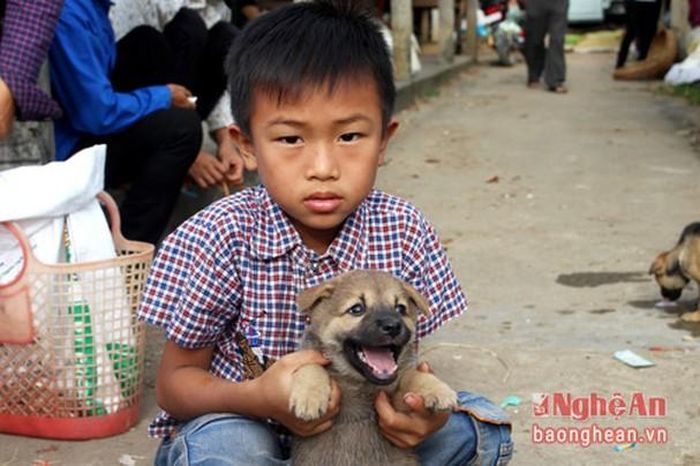 Có những em bé theo mẹ đi chợ bán chó, tuy chó đã bán rồi nhưng vẫn còn lưu luyến với chó con nhà mình.