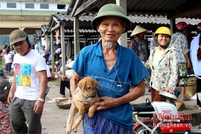 Tan chợ, các chú chó con theo chủ về nhà mới. Về Thanh Chương mua khoai chợ Rộ, mua măng chợ Chùa, còn mua chó con thì đến chợ Dùng.
