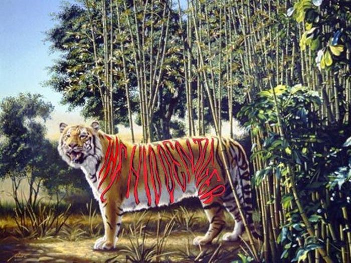 Bạn có tìm thấy con hổ được ẩn giấu trong tranh? 