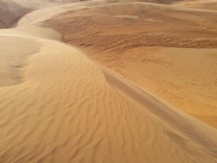 Sau 30 km từ TP Phan Thiết, bạn có thể gưỉi xe ở những quán cà phê ven đường. Đối diện bên kia đường là đồi cát hiện ra thật thanh bình với buổi chiều êm ả. Tại đây bạn có thể trượt cát với một miếng ván trượt khoảng 10.000-20.000 đồng.