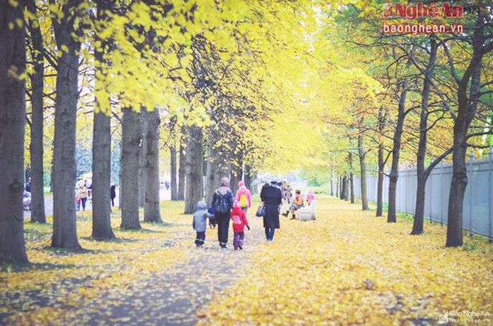 Thời gian đẹp nhất này diễn ra rất ngắn, chỉ tầm 2-3 tuần lễ. Nên dường như mọi người ai ai cũng muốn đắm mình trong vẻ đẹp của mùa thu Nga.