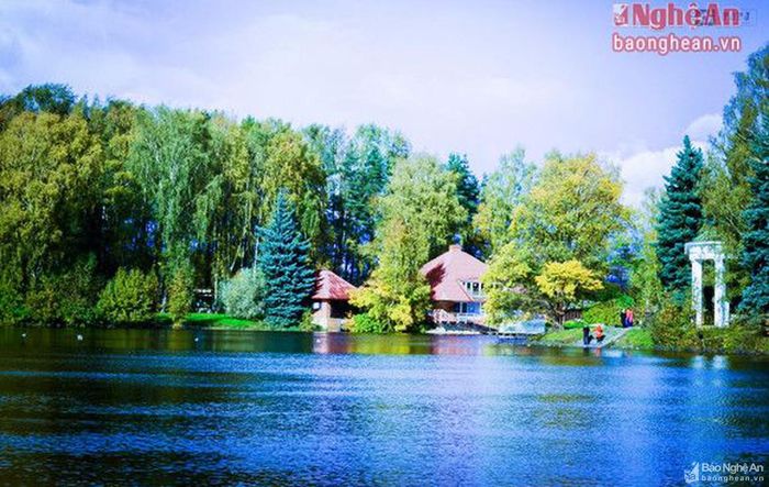 Thu vàng nước Nga là những rung cảm mạnh mẽ. Tình yêu dành cho màu vàng óng ấy không phụ thuộc vào thời gian sống, mà là những kỷ niệm khó phai. Có khi nhìn lại chiếc lá phong khô ép trong khung ảnh hay nghe một giai điệu Nga, tâm hồn lại bâng khuâng. Để rồi mỗi khi nàng thu trở mình thay áo, nỗi nhớ của những người đã từng gắn bó với xứ sở bạch dương lại bồi hồi, lưu luyến.