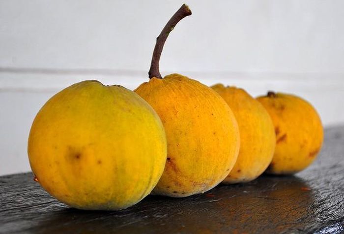 Còn có tên gọi khác là quả bông hay táo chua, santol có kích thước bằng quả bóng chày và trông giống như măng cụt. Quả có vị chua ngọt và hạt quả bông có thể ăn được như kẹo.