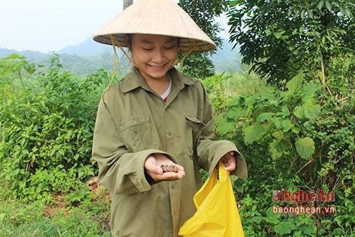 Một cô bé "khoe" chiến lợi phẩm của mình. Một ngày nếu chăm chỉ nhặt lượm, một người có thể thu được 5 đến 7 kg.