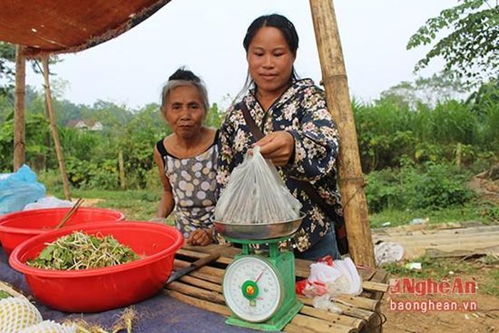 Hạt dẻ là một loại hạt được rất nhiều người ưa chuộng. Năm nay, do đợt nắng nóng kéo dài, dẻ ra ít hạt nên giá hạt dẻ cao hơn mọi năm (chừng 40 nghìn đồng /kg), là nguồn thu nhập đáng kể cho người dân nơi này.