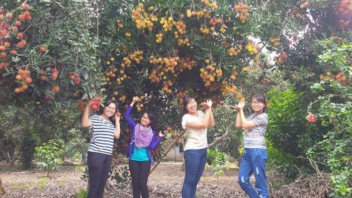 Vườn trái cây Long Khánh – Đồng Nai: Long Khánh là vựa trái cây của tỉnh Đồng Nai, nhất là vào mùa hè. Chỉ cần đến đây, bạn sẽ tha hồ lạc mình vào những vườn chôm chôm xanh đỏ bắt mắt hay dạo chơi nhưng ăn thiệt giữa những khi vườn măng cụt, sầu riêng trĩu quả. Bạn có thể dừng lại ở bất cứ nhà vườn nào ở đây để hỏi mua và tham quan nhé. Ảnh: Internet.