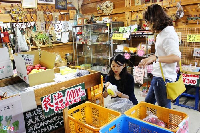 Ngoài hái táo tại vườn, bạn có thể chọn táo ở khu vực được bày bán.