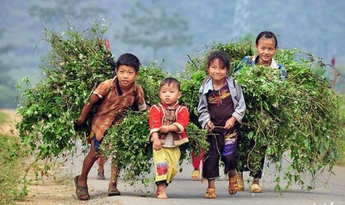 Những đứa trẻ này dù còn rất nhỏ nhưng đều biết làm việc phụ giúp bố mẹ. Ảnh: DKN.