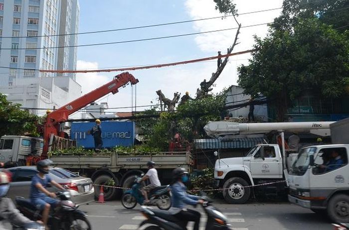 Lực lượng cơ quan cùng nhân viên cây xanh vẫn đang tiếp tục thu dọn hiền trường