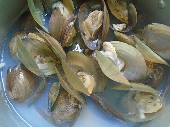 Sau khi rửa sạch, cho trai vào luộc. Tách lấy thịt trai. Còn to thì cắt nhỏ, ướp thịt gia cùng gia vị. Phi thơm hành, rồi cho cà chua và thịt trai vào xào cùng, xúc ra để riêng. Ảnh: Sendo.
