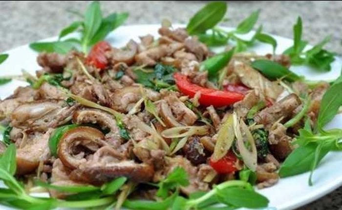 Mật mèo đen vị đắng, tính hàn, có tác dụng giảm đau, chống co thắt.