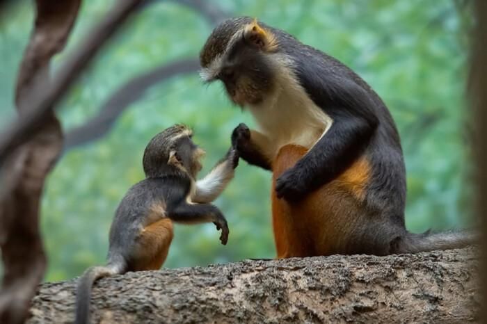 Mẹ - nguồn động viên vô hạn của con.