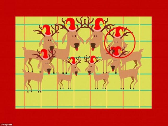 Không ít cư dân mạng mất khá nhiều thời gian mới có thể tìm đúng câu trả lời, dù bức tranh chỉ có 8 chú tuần lộc.