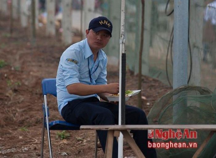 Một người bảo vệ cánh đồng hoa hướng dương tranh thủ ăn bữa cơm trưa muộn.