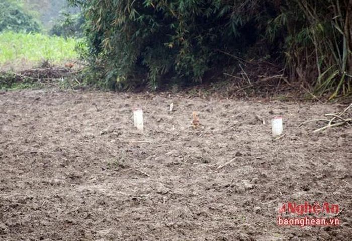 Diện tích GPMT đã được đo, cắm mốc nhưng chưa đền bù cho người dân.