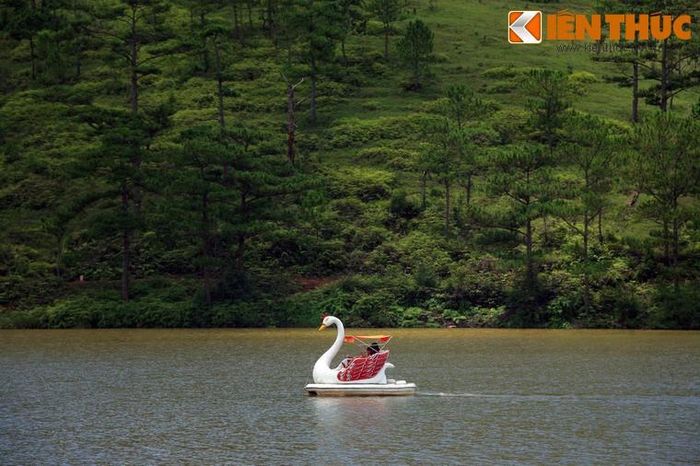 Thị trấn Măng Đen (Kon Plong, Kon Tum) được mệnh danh là một Đà Lạt thu nhỏ với những khu rừng nguyên sinh, nhiều hồ, thác nước đẹp mê ly cùng khí hậu mát mẻ, trong lành quanh năm.