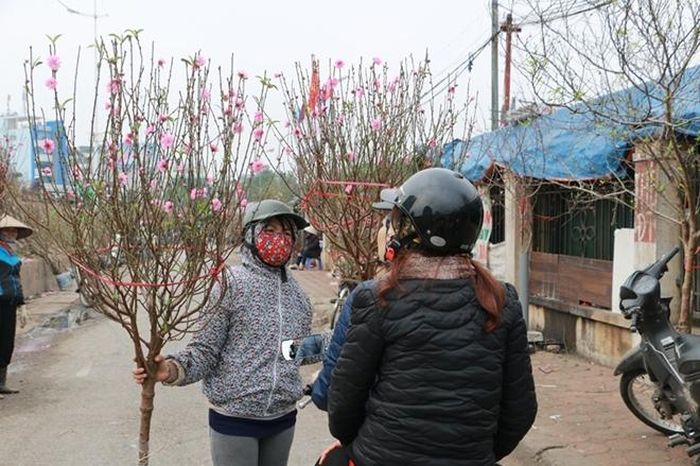 Một chị bán hàng đang rao bán những cành đào đỏ thắm cho người đi qua tại khu chợ hoa Quảng Bá.