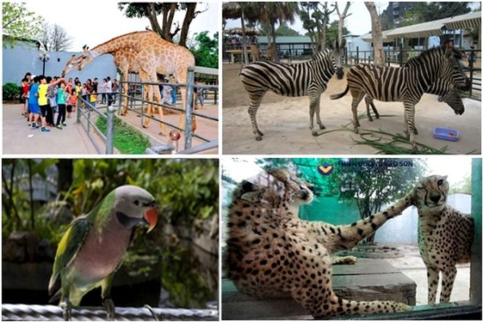  9. Thiên đường Bảo SơnTính đến thời điểm hiện tại, thiên đường Bảo Sơn là công viên do tư nhân xây dựng lớn bậc nhất Hà Nội đã đi vào hoạt động. Tọa tại Km8, Đại Lộ Thăng Long, An Khánh, Hoài Đức, Hà Nội, nơi đây có 8 không gian chuyên biệt: Thiên đường văn hóa, sinh thái, trò chơi, nghệ thuật, ẩm thực, công nghệ, hội thảo, và dưới nước. Trong đó thiên đường sinh thái là nơi được ưa chuộng nhất.