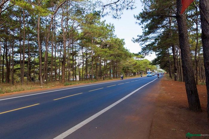 Cung đường TP.HCM - Buôn Ma Thuột dài khoảng 350 km, theo hướng QL14 nay là đường Hồ Chí Minh. Đường rất đẹp và vắng xe. Trong ảnh là rừng thông khi qua khỏi thị xã Gia Nghĩa của tỉnh Đắk Nông.