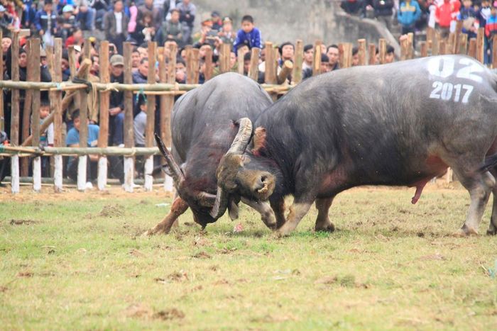 Trận đấu kéo dài hơn chục phút làm mãn nhãn khán giả